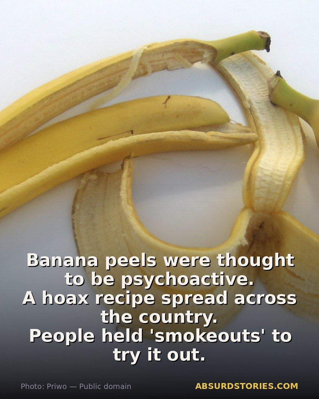 The absurd hoax of psychoactive banana peels