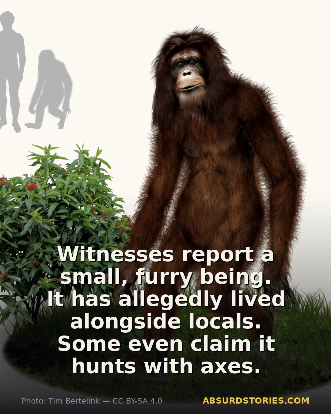 The legendary Orang Pendek of Sumatra